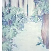 machiの画像