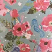 nsの画像