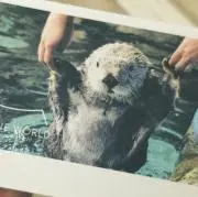 gooouの画像
