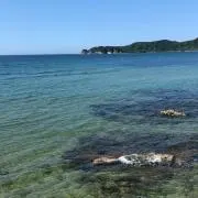 sの画像