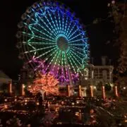 たいちゃんの画像