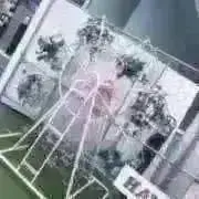 ぱふの画像
