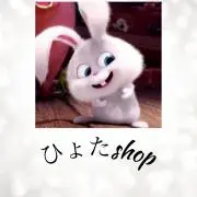 【ひょたshop】の画像