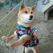 こう