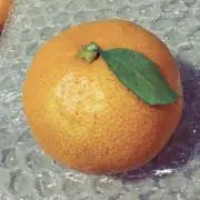 みぐりー プロフ必読の画像