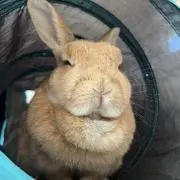岩沢さんの画像