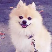 ♡SUZU♡