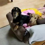 まぁ