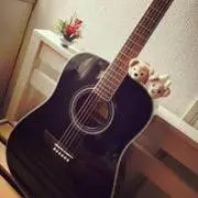 れんこんの画像