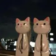 シロネコヤマトの画像