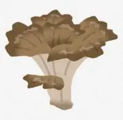 うずまきエネルギー 炎 草 水 雷 闘 超 悪 鋼 ×8 64枚 ポケモンカード