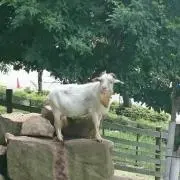 ぱんまん