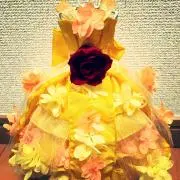 Meiの画像