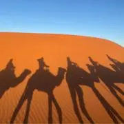 うまるの画像