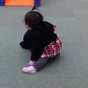 アップルパイの画像
