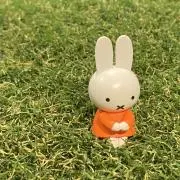 なーみんの画像