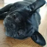 シンプル好き好き