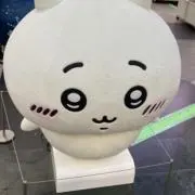 ももの画像
