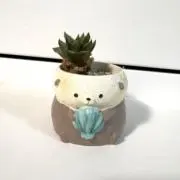 ひなた。の画像