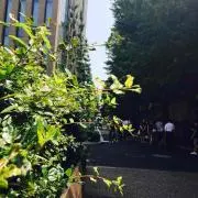すとべーねの画像