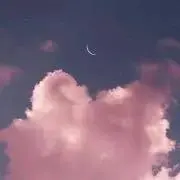 Sの画像