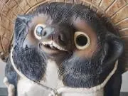 たぬ吉αの画像