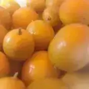 みかん٩(๑❛ᴗ❛๑)۶✿の画像