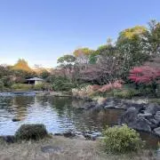 ななの画像