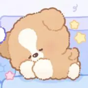 bの画像