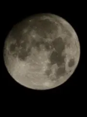 どあ〜ふの画像