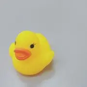 きゃの画像