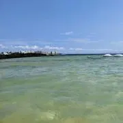 みみここ