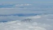 MireLiiの画像