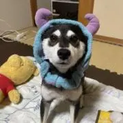 もちこ