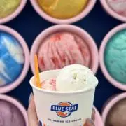 iceの画像