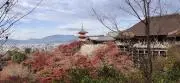 ヤスの画像