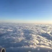 Tの画像