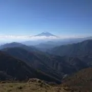 まさまさ