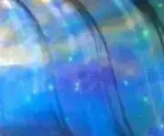 マグロの画像