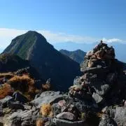 poroggoの画像