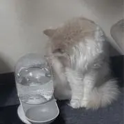 う。の画像