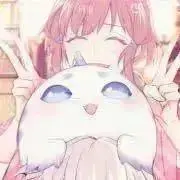 ちょこの画像
