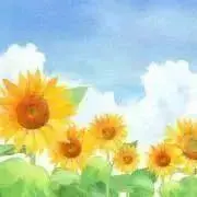 ひまわりの画像
