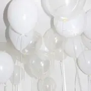 sakuraの画像