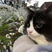 agulnanaの画像