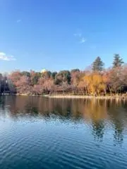 りゃうの画像