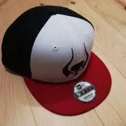サボテンの画像