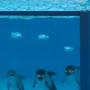 yuuhiの画像