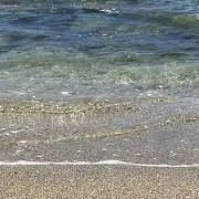 Haruの画像