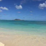 まこたんたんたんの画像